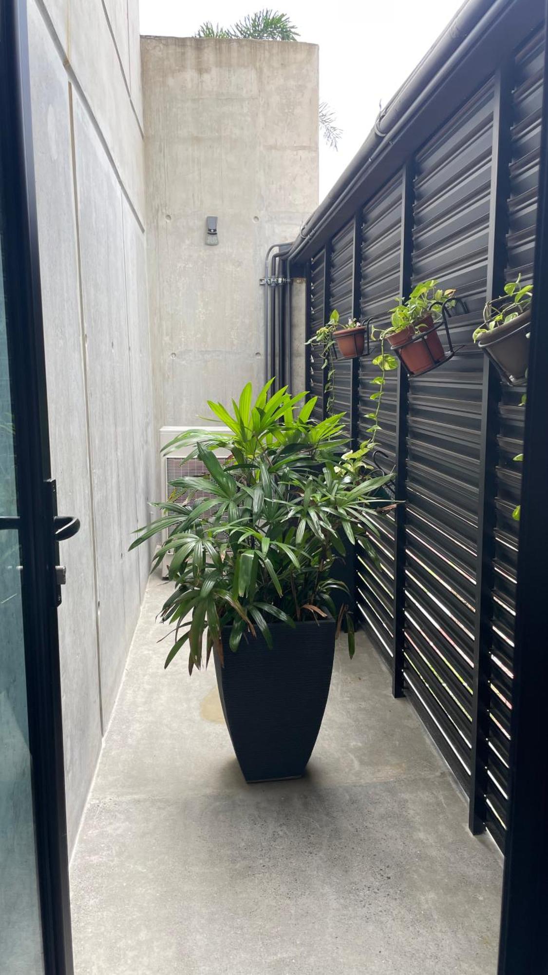 Cozy Apartment With Terrace, Sj Cosmopolitan Tower #402 San José Dış mekan fotoğraf